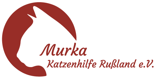 Murka — Katzenhilfe Rußland e.V.