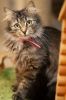 IMG-20230425-WA0003
