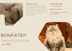 Bonifatsiy