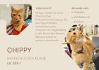 Chippy