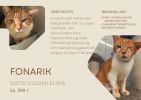 Fonarik
