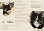 Lieppa