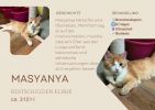 Masyanya