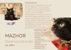 Mazhor