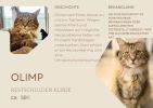 Olimp