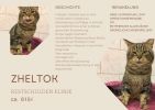 Zheltok
