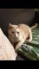 5D3625A8-FB4C-450B-8888-50CED6191598