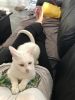 Kasper_home2