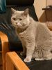 IMG-20210419-WA0016