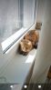 IMG-20210331-WA0033