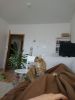 IMG-20210516-WA0006